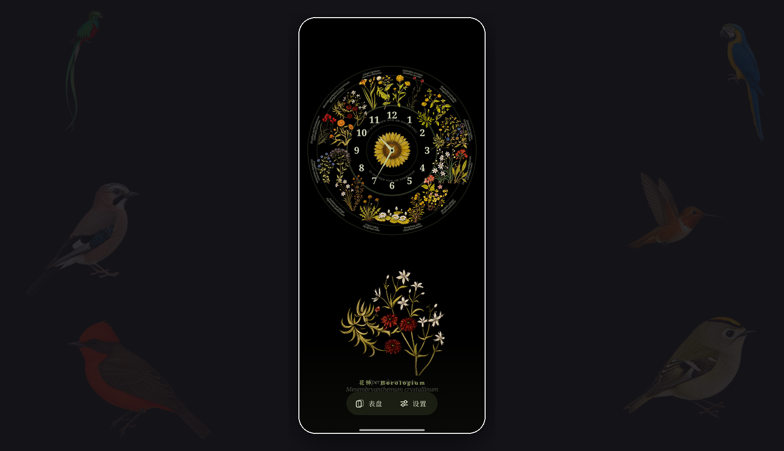 The single-screen interface: a small bottom toolbar with faces and settings entrances